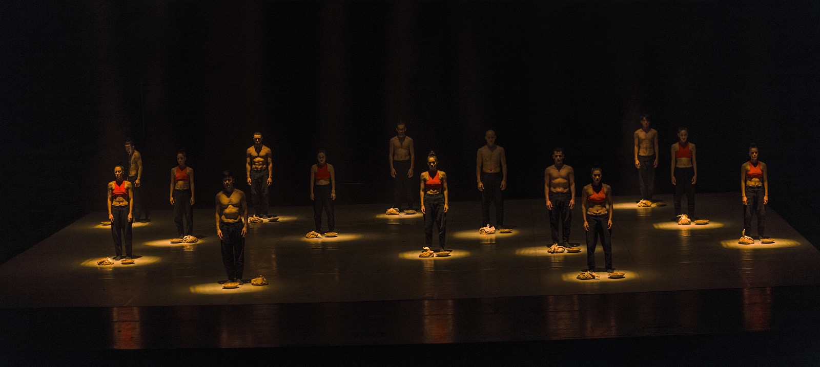 Daniel Cardoso <span>Quorum Ballet Portugal</span>
